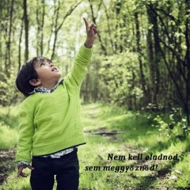 Nem kell eladnod, sem meggyőznöd!