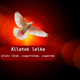 Állatok lelke, állati lélek, csoportlélek, csoportén Állatok lelke, állati lélek, csoportlélek, csoportén