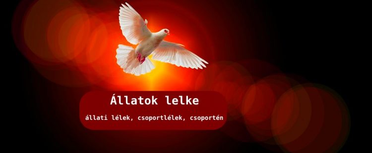 Állatok lelke, állati lélek, csoportlélek, csoportén